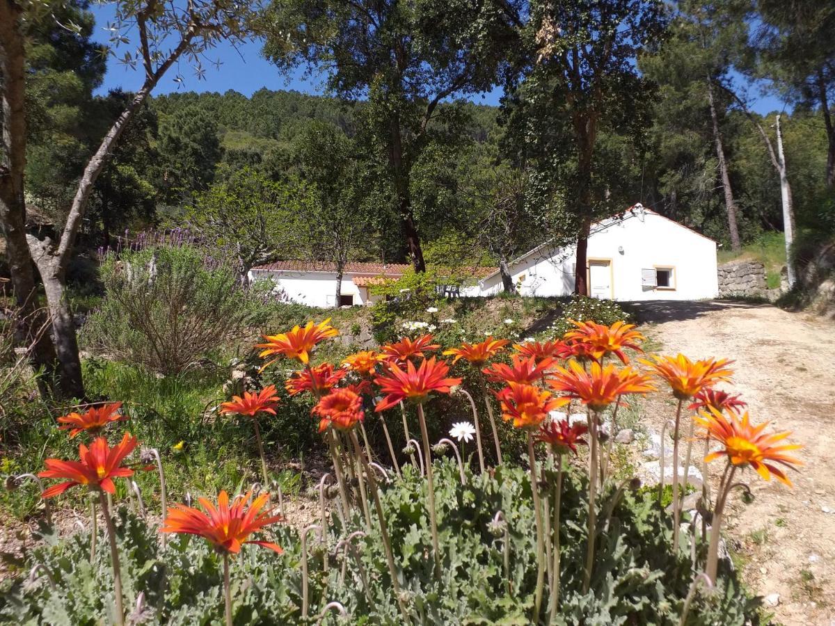 Quinta Da Barroquinha Guest House Vale de Prazeres Eksteriør bilde