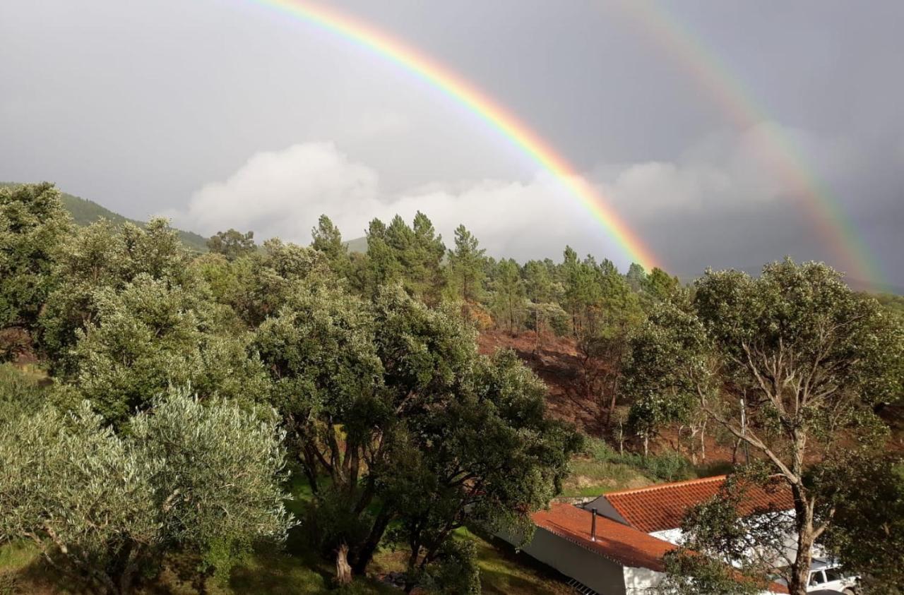 Quinta Da Barroquinha Guest House Vale de Prazeres Eksteriør bilde