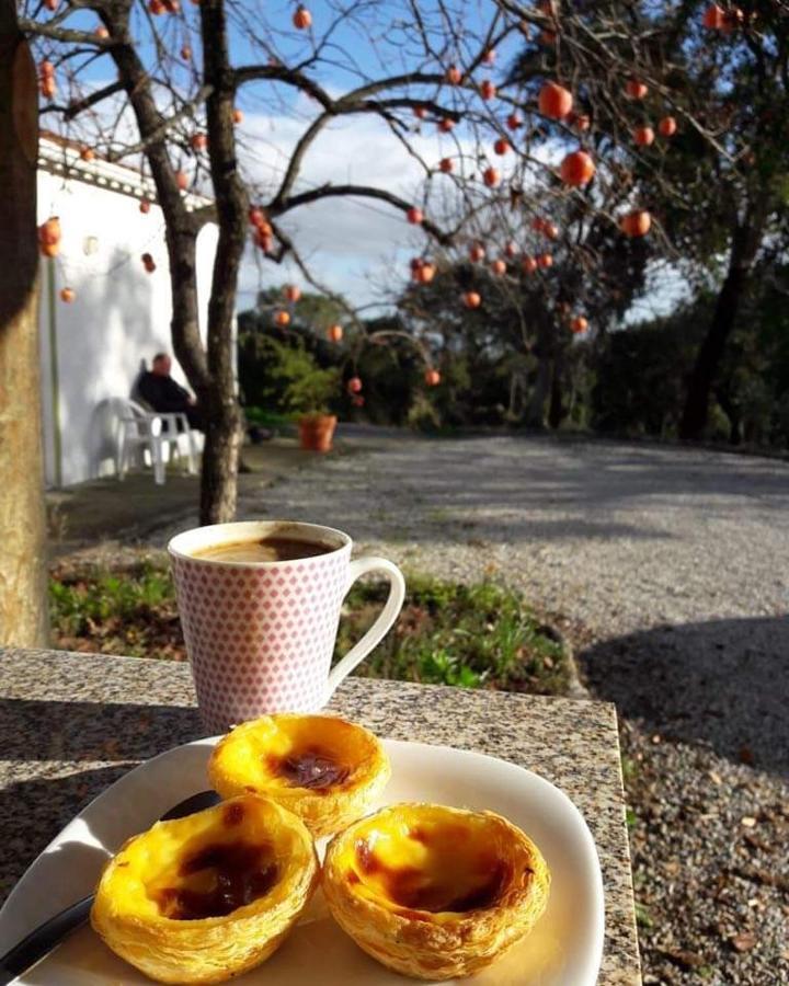 Quinta Da Barroquinha Guest House Vale de Prazeres Eksteriør bilde